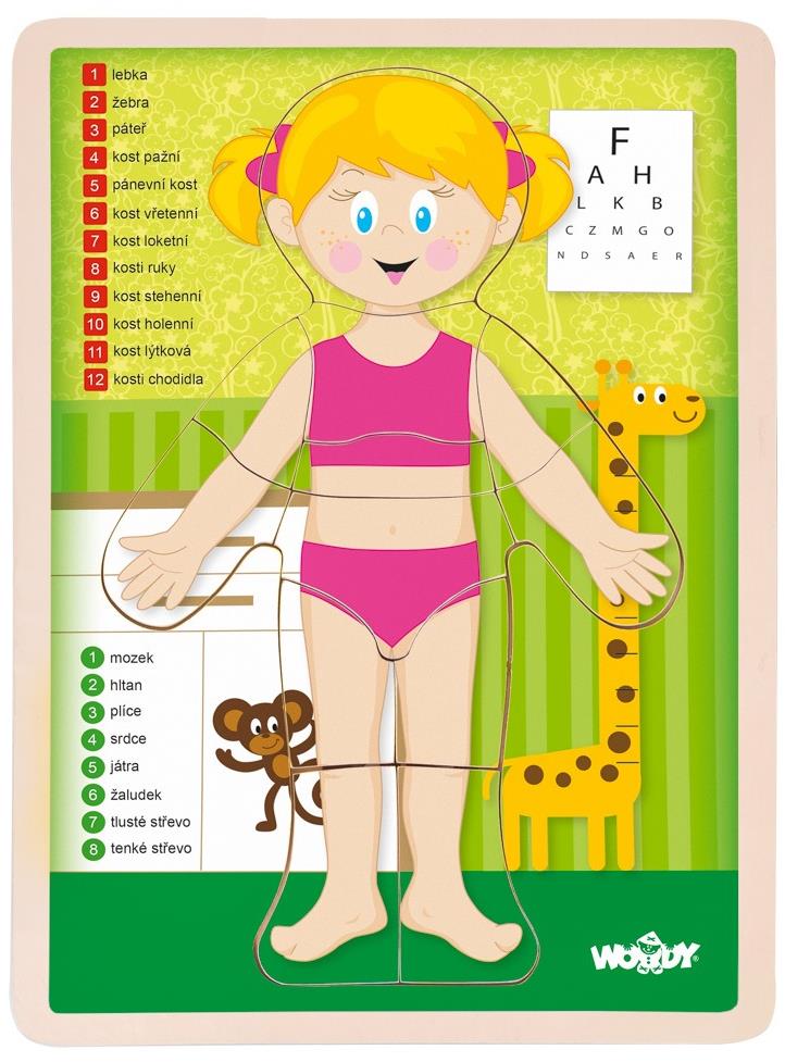Woody Puzzle „Ľudské telo" – Dievča CZ
