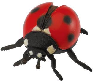 COLLECTA Lienka