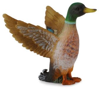 COLLECTA Kačica divoká, káčer