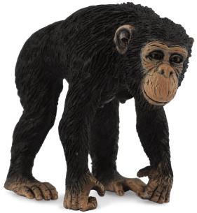 COLLECTA Šimpanz samica