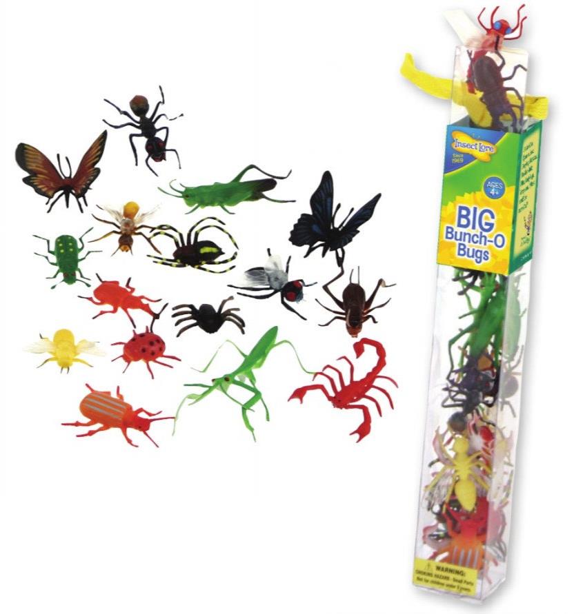 Insect Lore Veľká sada chrobákov