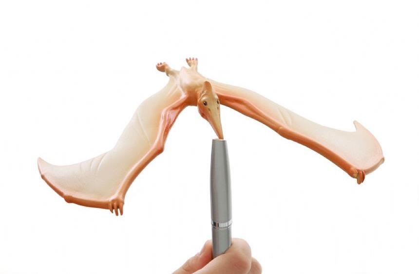 Brainstorm Toys Úžasný balansujúci Pteranodon