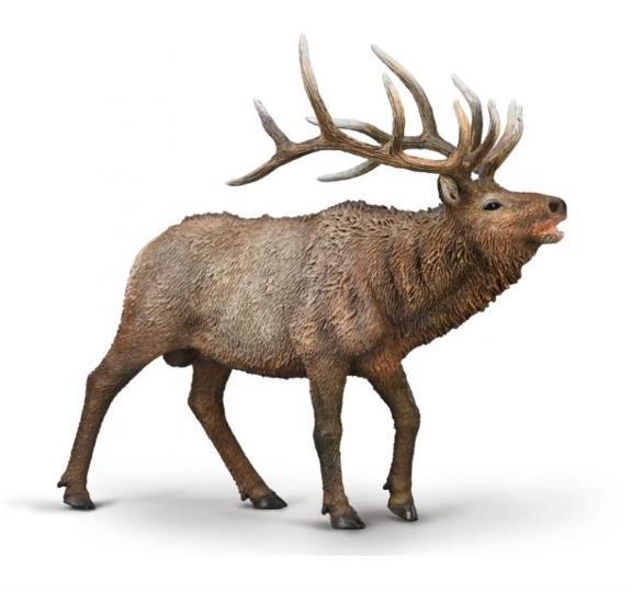 Collecta Jelen Wapiti