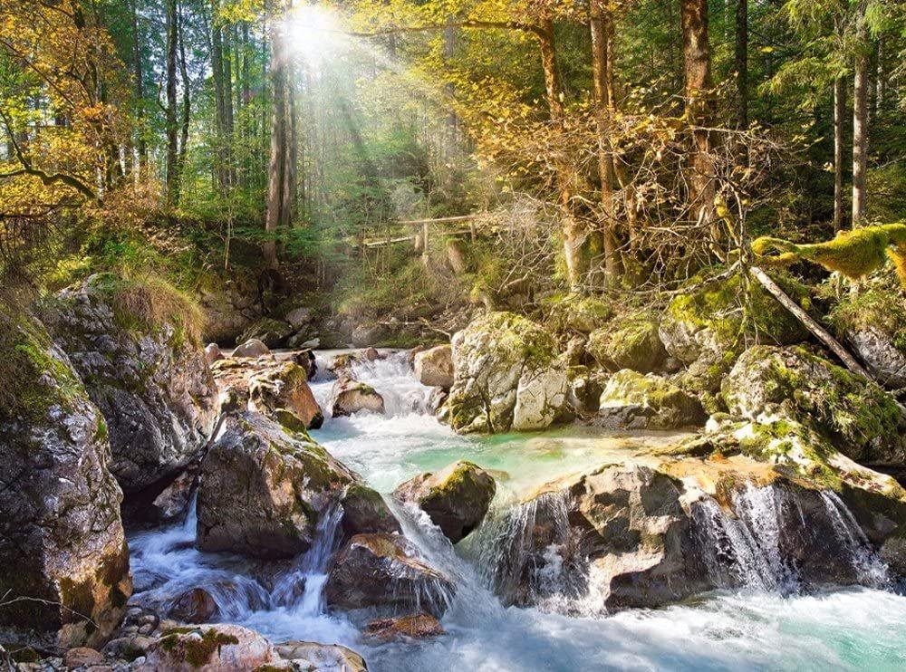 Castorland Puzzle Riečka v lese 2000 dielikov