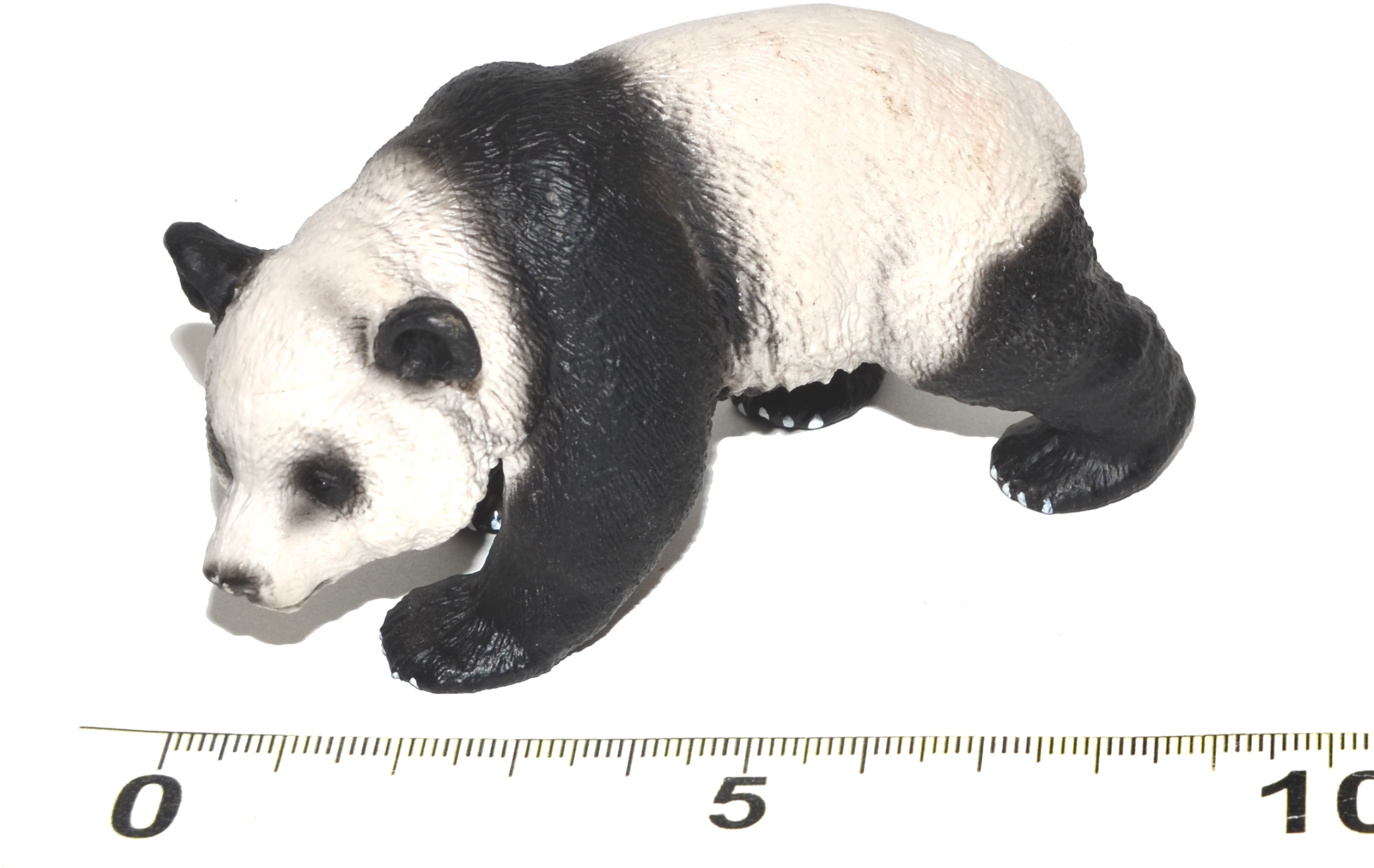 Atlas Panda