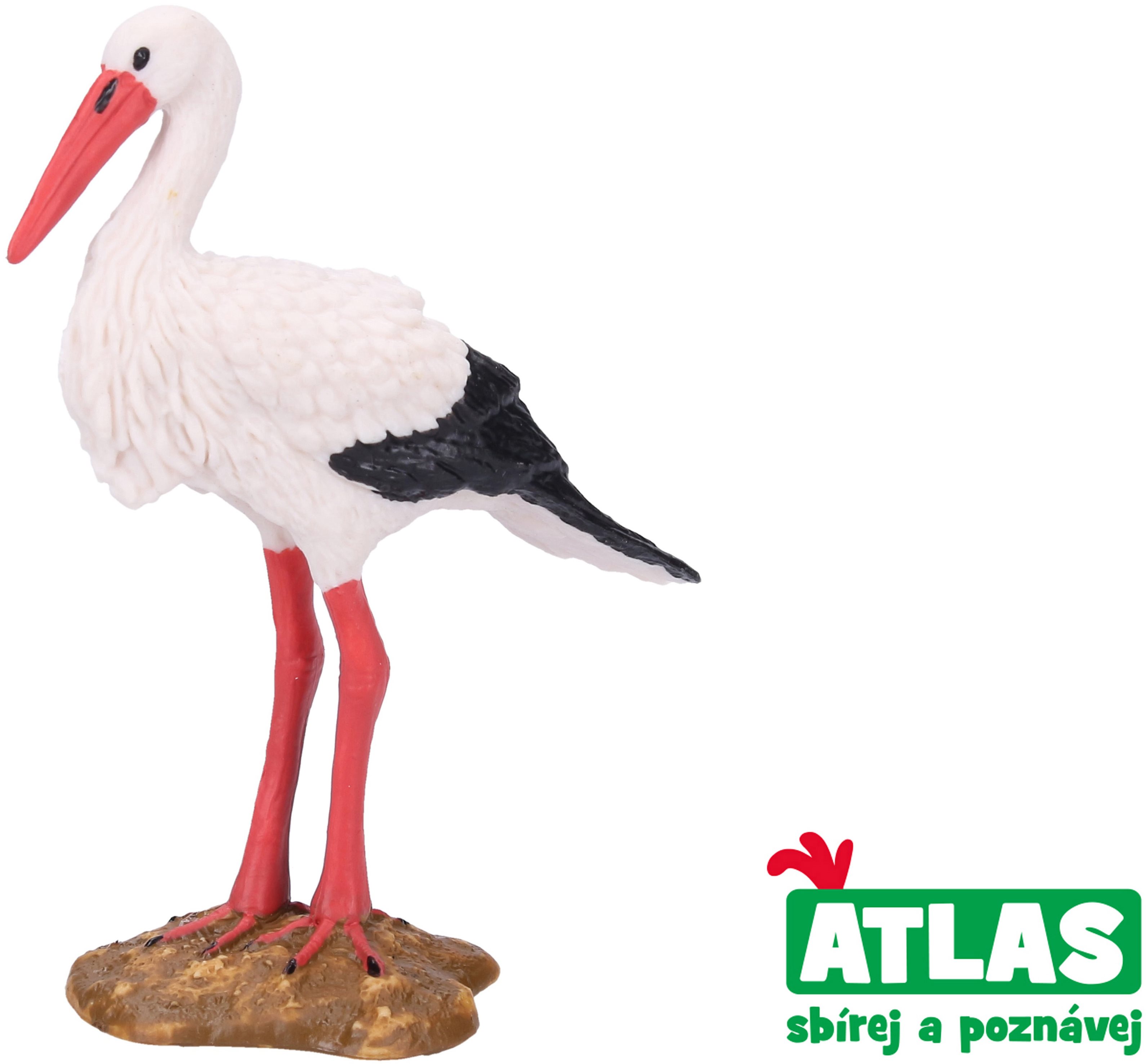 Atlas Bocian
