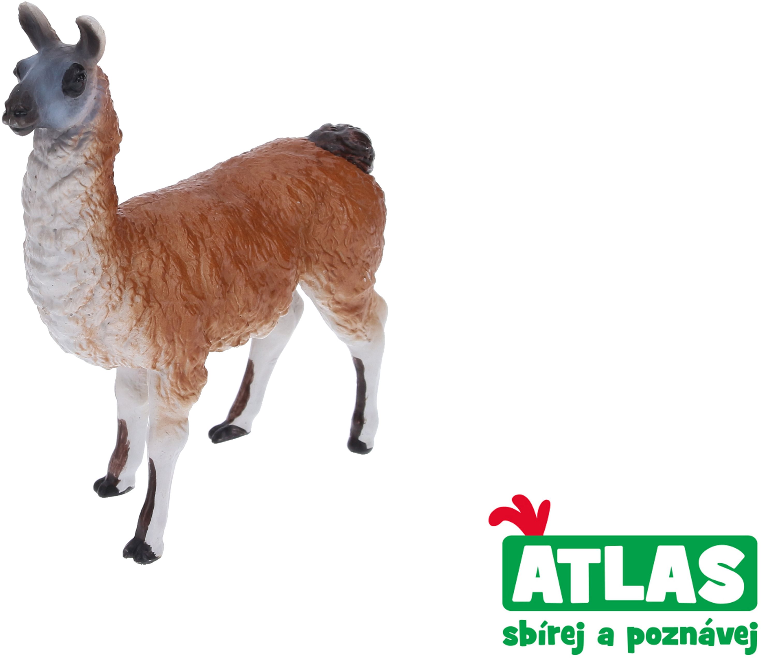 Atlas Lama