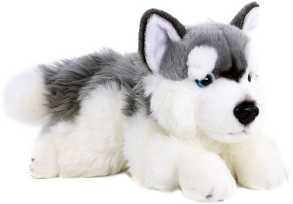 Rappa plyšový pes husky 30 cm Eco-friendly