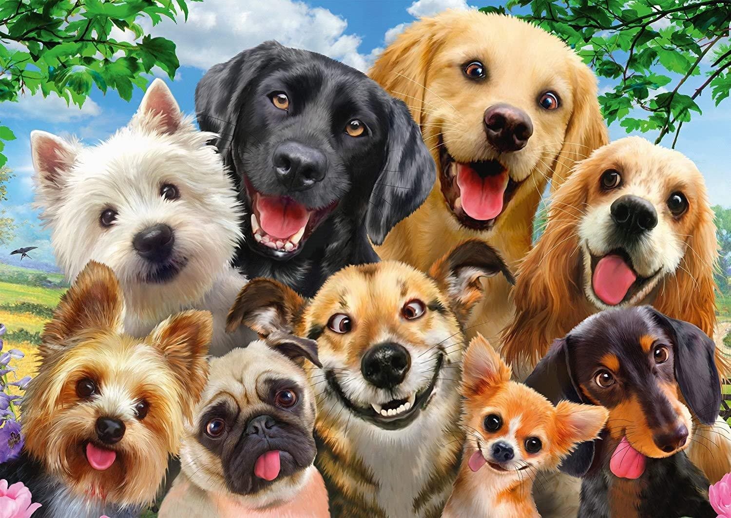 Puzzle Psie selfie 500 dielikov