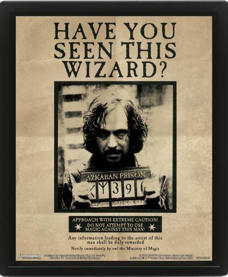 3D obraz Harry Potter – Sírius