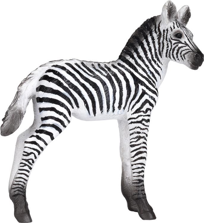 Mojo – Zebra mláďa