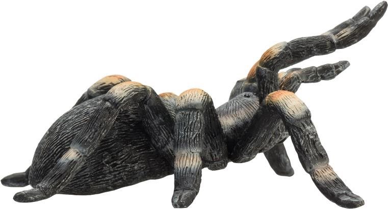 Mojo – Tarantula skliepkan Smithov