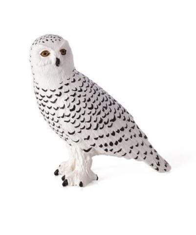 Mojo – Sova snežná