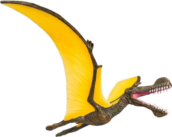 Mojo – Tropeognathus
