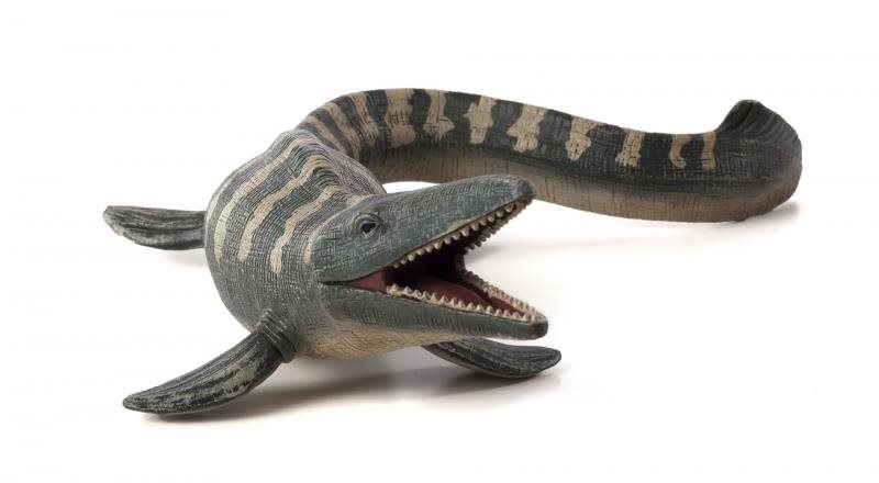 Mojo – Tylosaurus