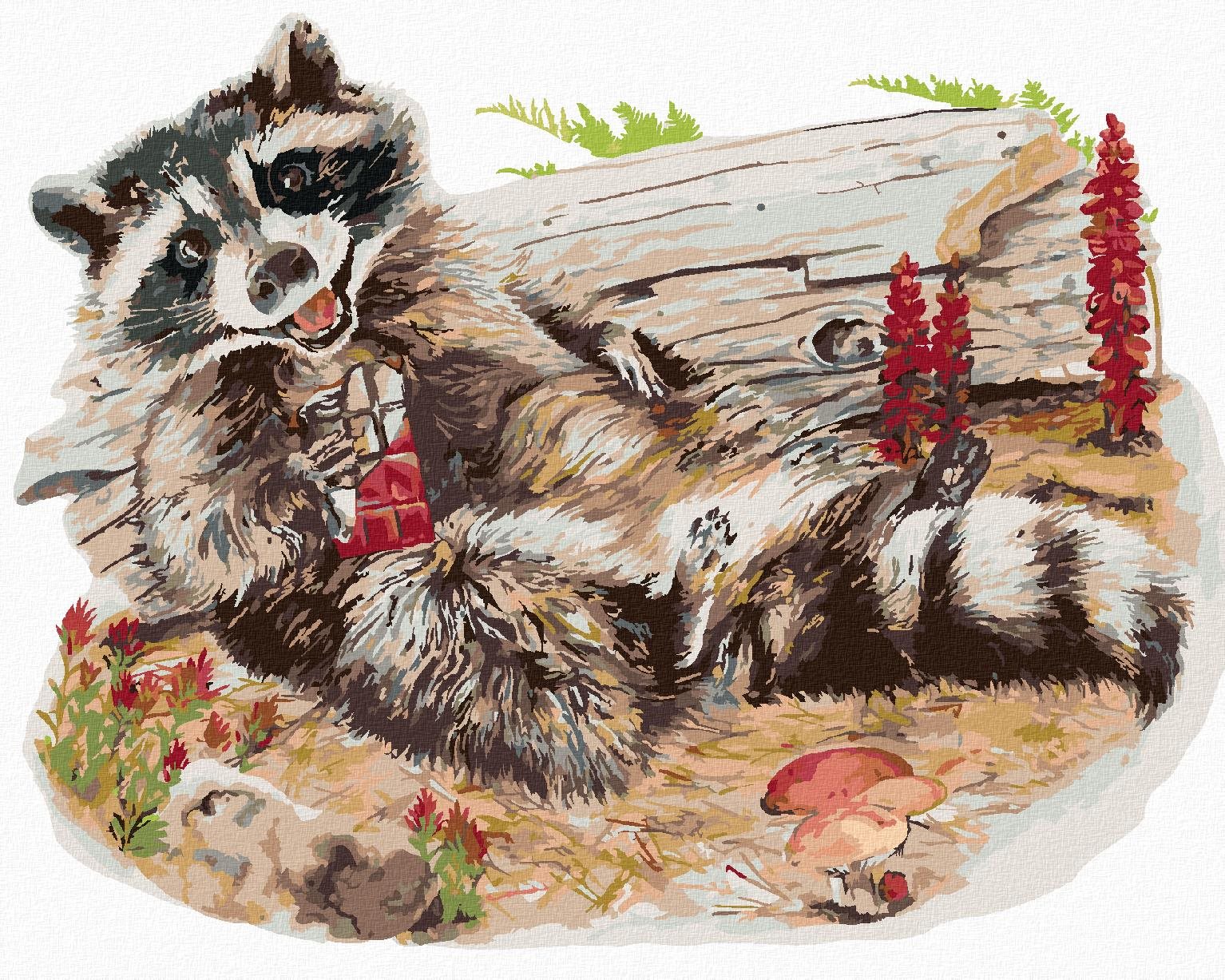 Maľovanie podľa čísel – Mýval s čokoládou (Holly Simental), 80 × 100 cm, napnuté plátno na rám