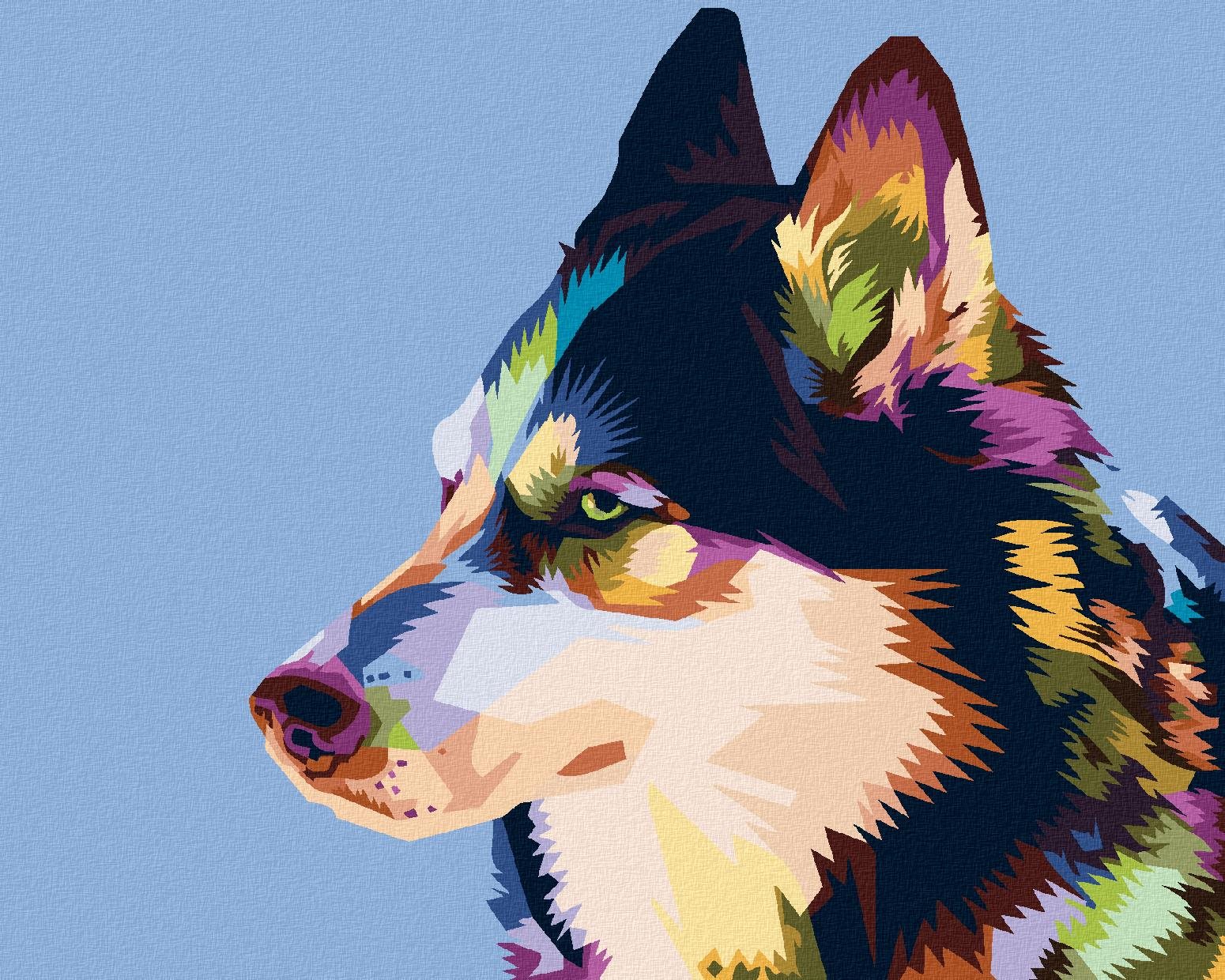 Maľovanie podľa čísel – Farebný husky, 80 × 100 cm, bez rámu a bez napnutia plátna