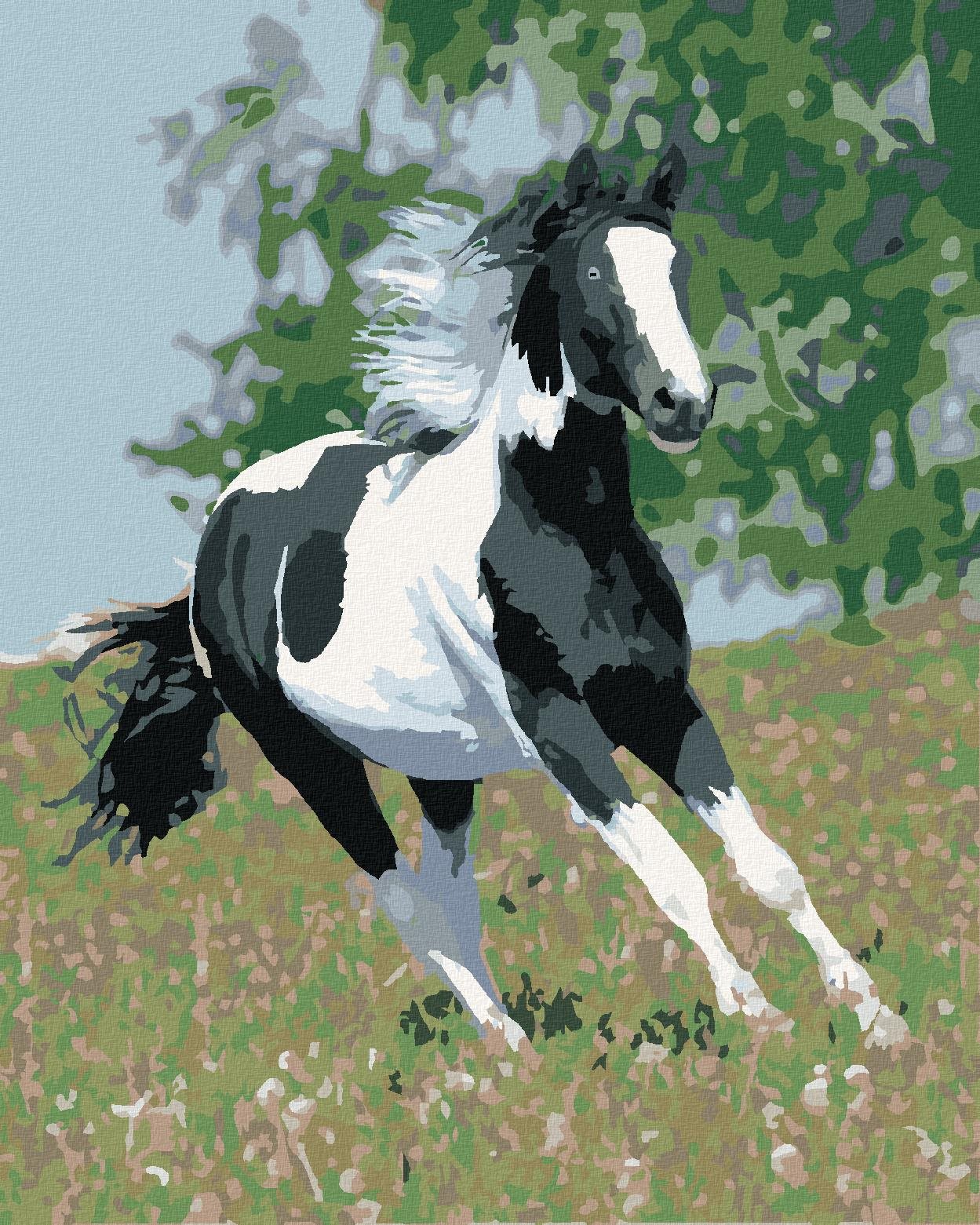 Maľovanie podľa čísel – Bežiaci strakáč, 40 × 50 cm, napnuté plátno na rám