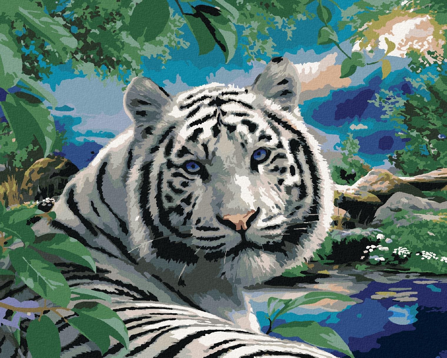 Maľovanie podľa čísel – Biely tiger a divoká príroda (Howard Robinson), 40 × 50 cm, napnuté plátno na rám