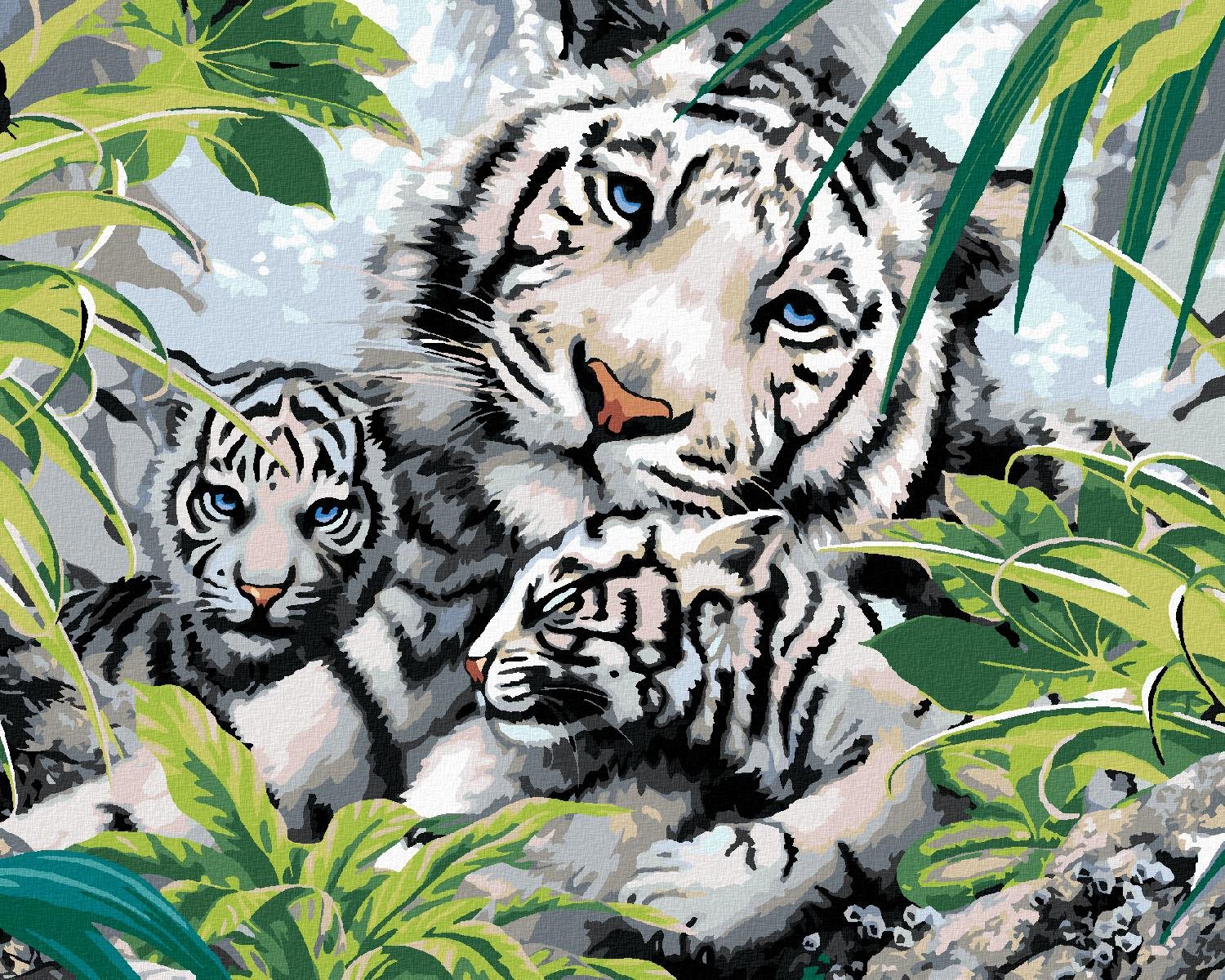 Maľovanie podľa čísel – Biely tiger a dve mláďatá (Howard Robinson), 40 × 50 cm, napnuté plátno na rám
