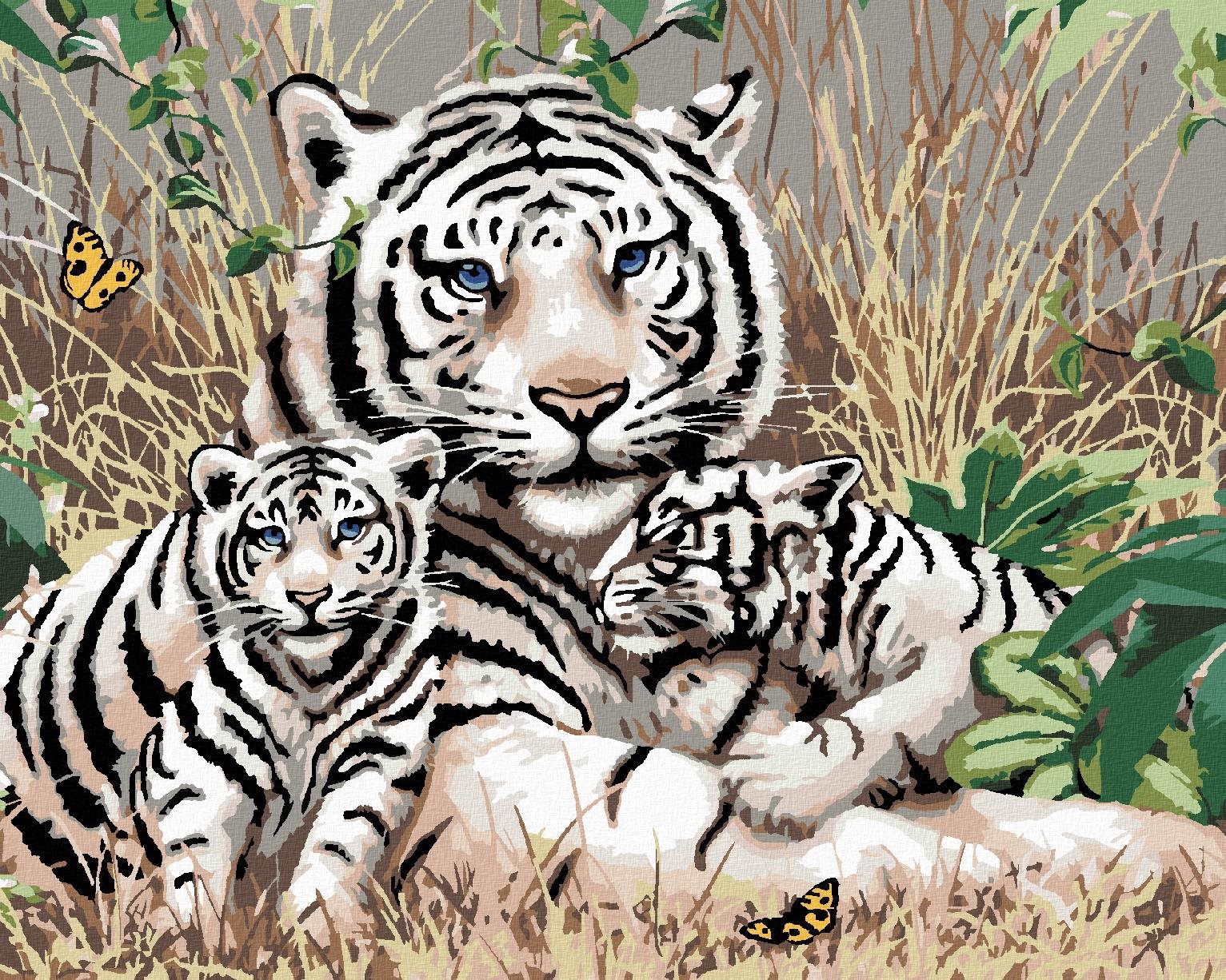Maľovanie podľa čísel – Biely tiger a mláďatá v tráve (Howard Robinson), 80 × 100 cm, napnuté plátno na r