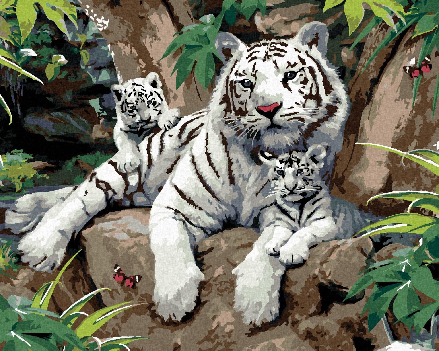 Maľovanie podľa čísel – Biely tiger s mláďatami na kameni (Howard Robinson), 40 × 50 cm, napnuté plátno na rám