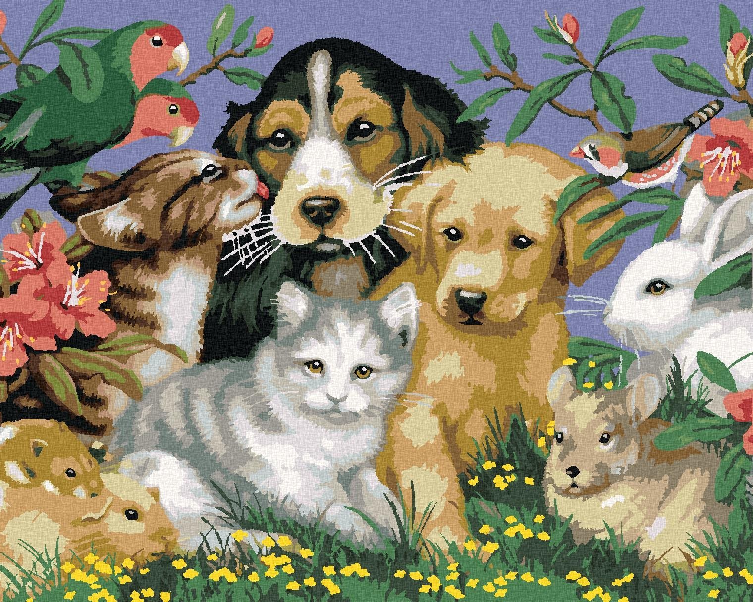 Maľovanie podľa čísel – Domáce zvieratá v prírode (Howard Robinson), 40 × 50 cm, bez rámu a bez napnutého plátna