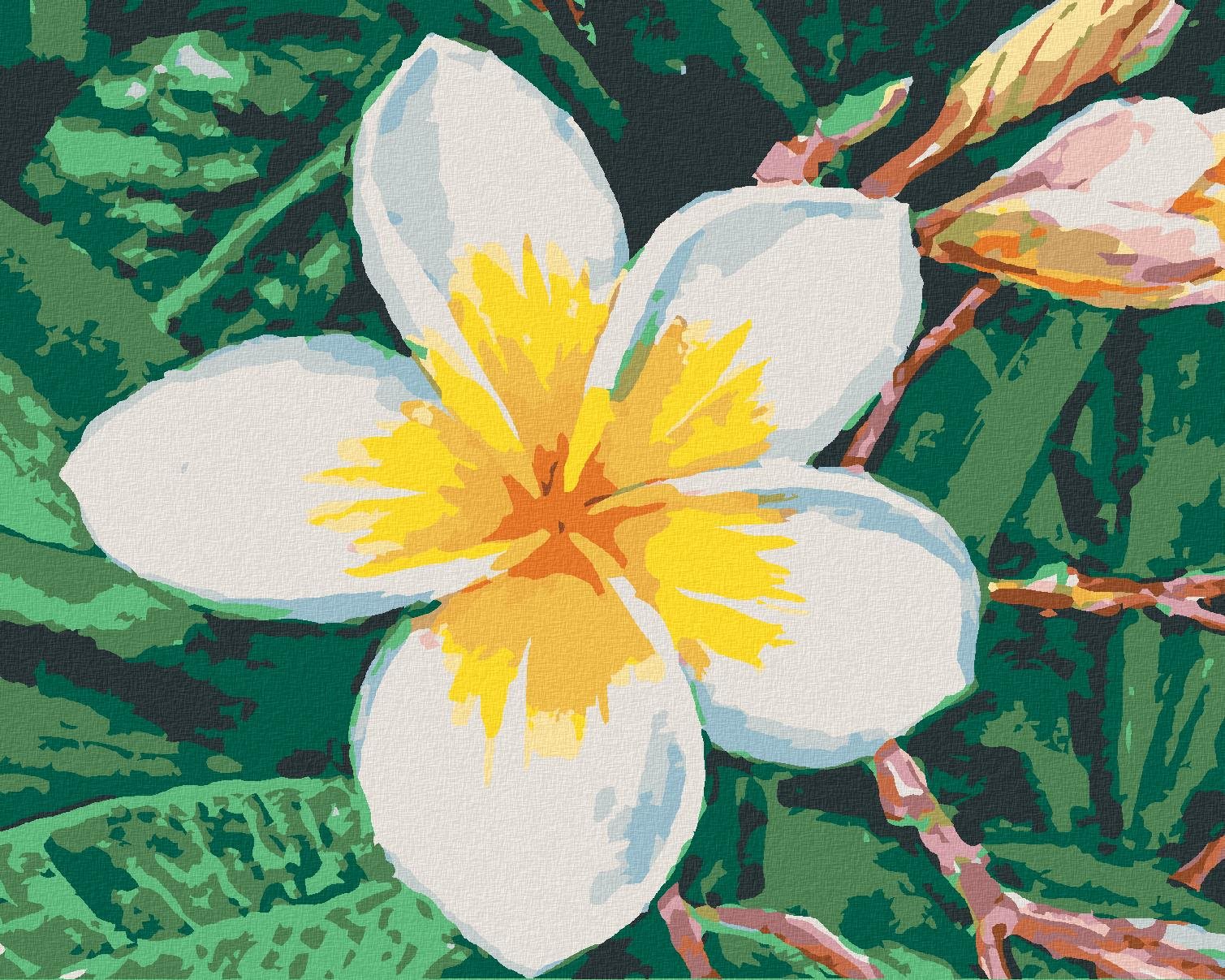 Maľovanie podľa čísel – Havajská kvetina, 40 × 50 cm, napnuté plátno na rám