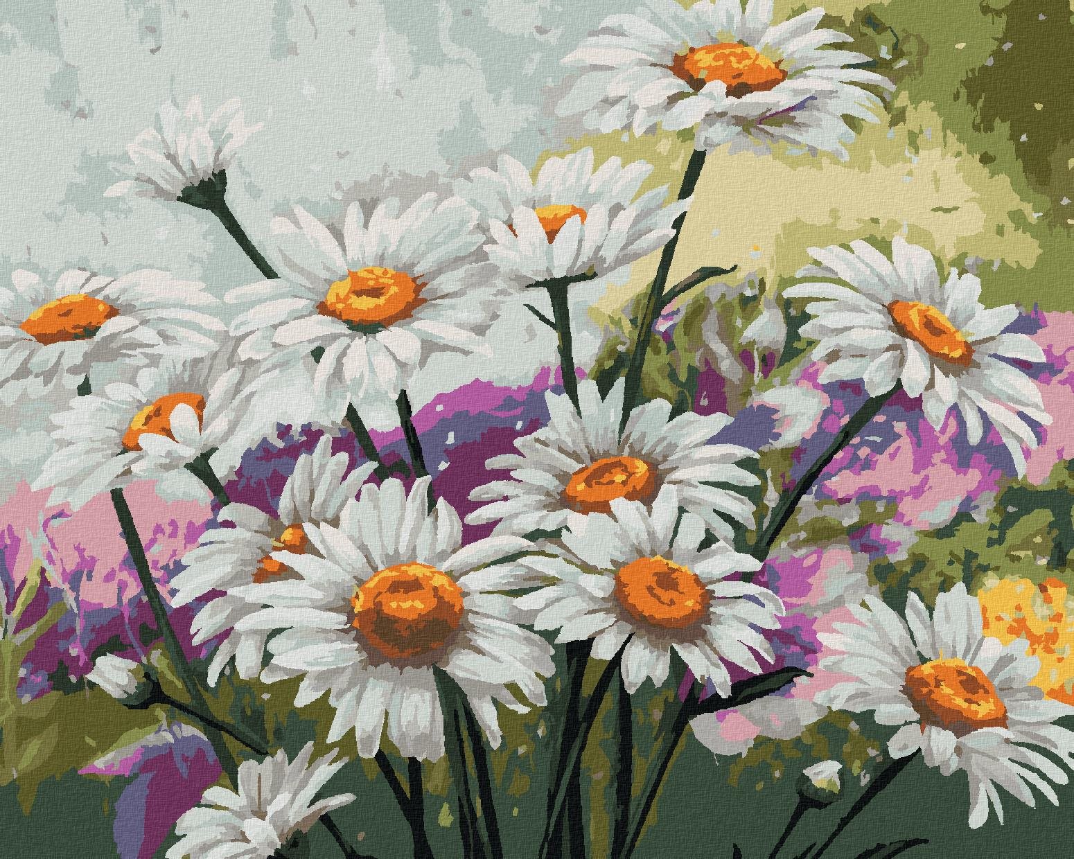 Maľovanie podľa čísel – Harmanček na lúke, 40 × 50 cm, bez rámu a bez napnutia plátna
