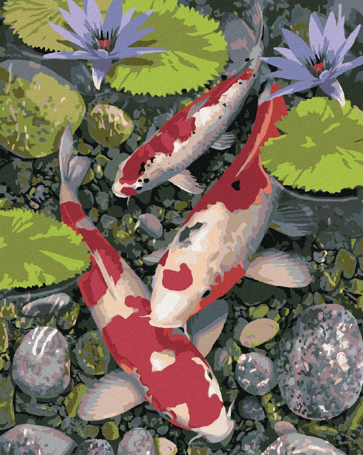 Maľovanie podľa čísel - Koi kapry a lekná (Howard Robinson), 40 x 50 cm, bez rámu a napnutého plátna