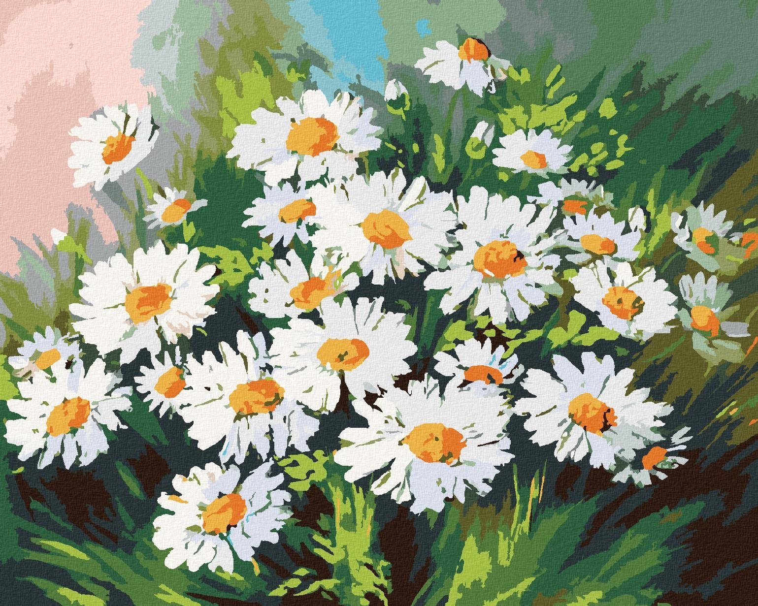 Maľovanie podľa čísel – Margaréty v tráve, 80 × 100 cm, napnuté plátno na rám