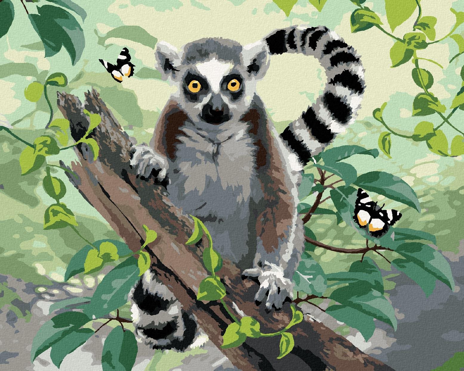 Maľovanie podľa čísel - Lemur a motýle (Howard Robinson), 40 x 50 cm, bez rámu a napnutého plátna