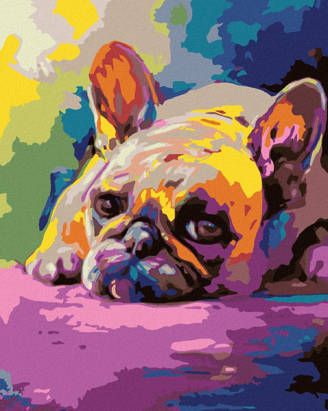 Maľovanie podľa čísel – Ležiaci buldoček, 40 × 50 cm, napnuté plátno na rám