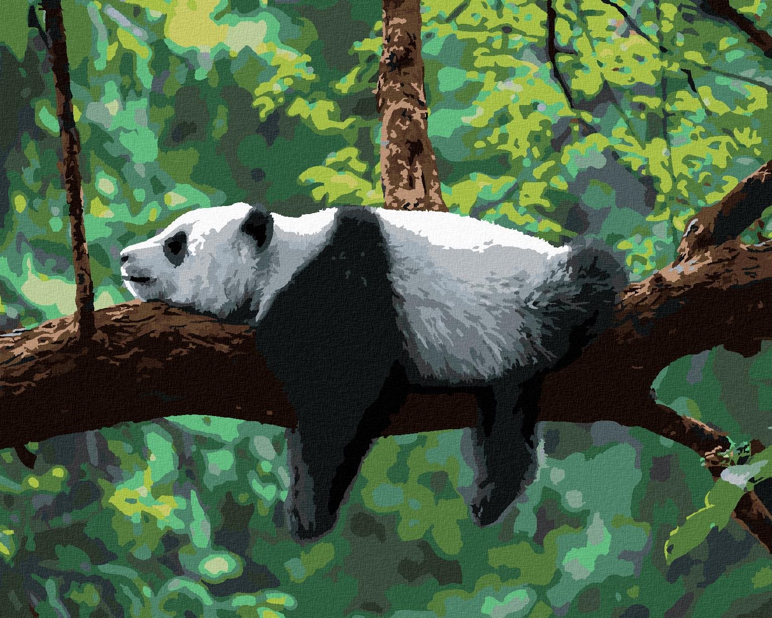 Maľovanie podľa čísel – Panda ležiaca na strome, 80 × 100 cm, napnuté plátno na rám