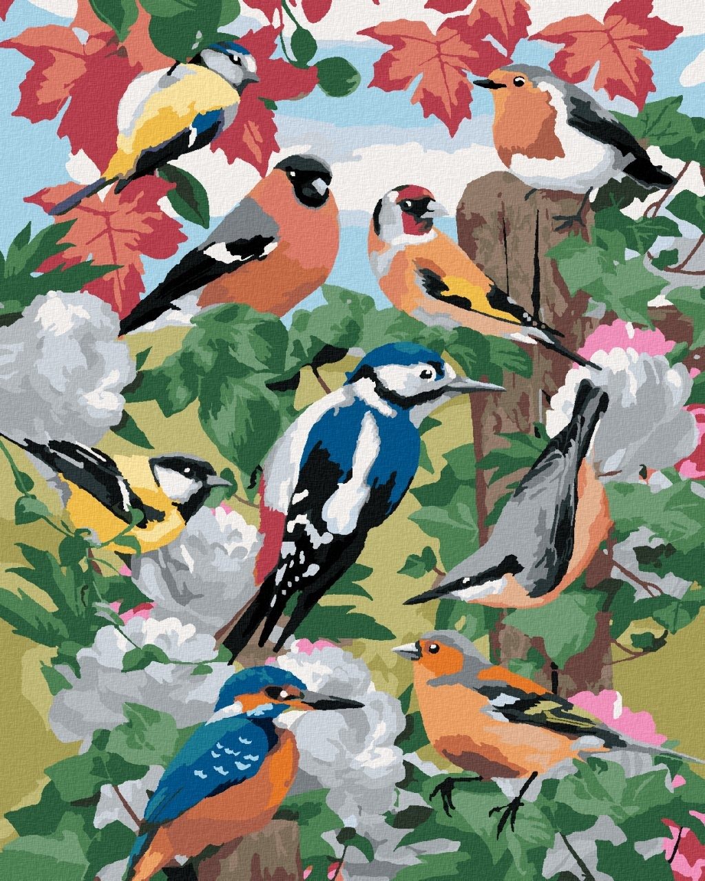 Maľovanie podľa čísel – Vtáky a biele kvety (Howard Robinson), 80 × 100 cm, napnuté plátno na rám