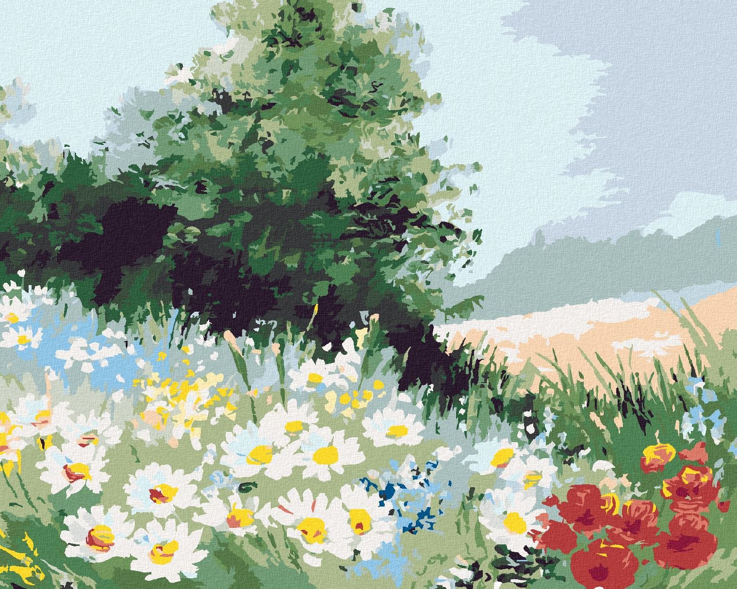 Maľovanie podľa čísel – Sedmokráskové pole, 40 × 50 cm, bez rámu a bez napnutia plátna