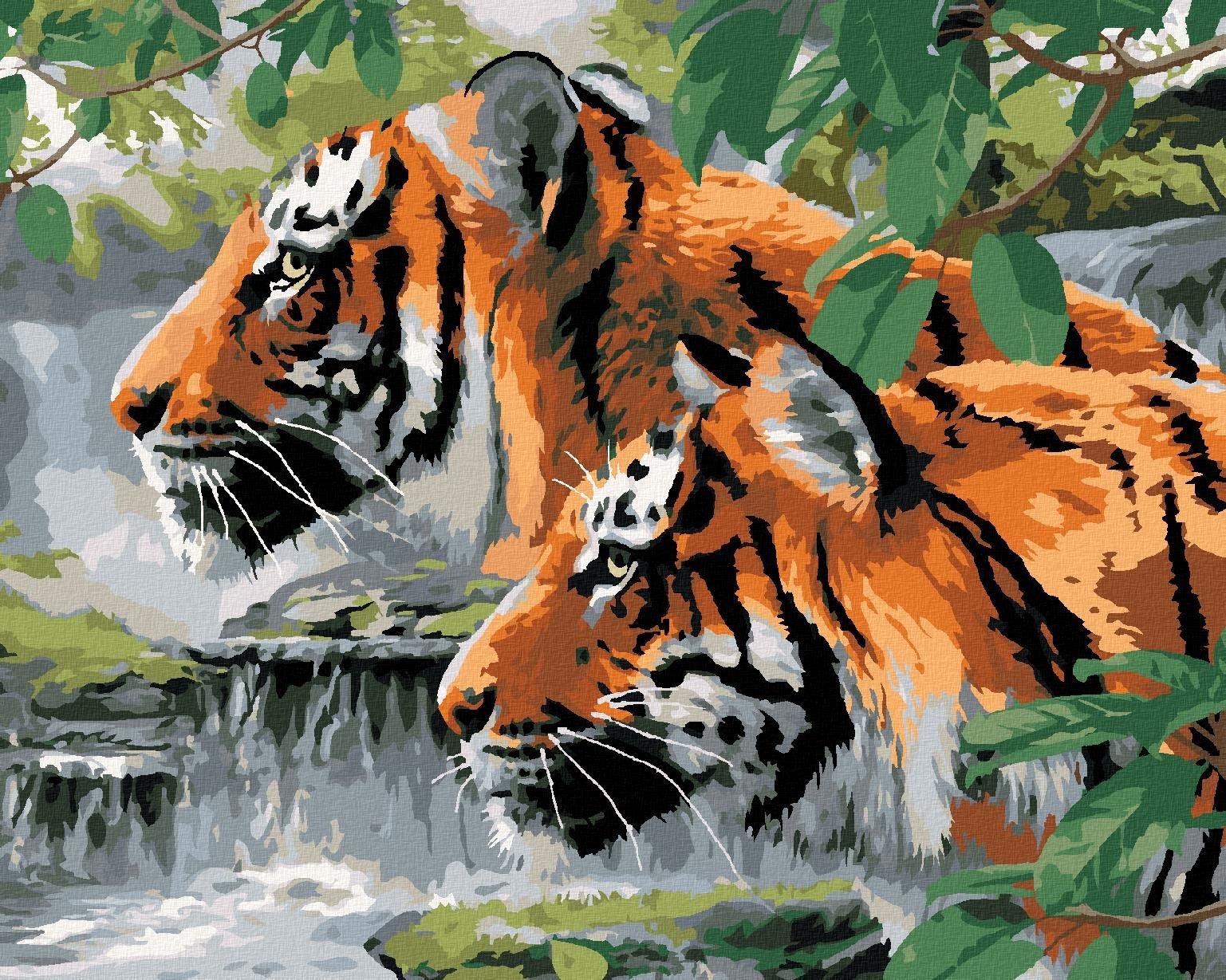 Maľovanie podľa čísel – Číhajúce tigre pri rieke (Howard Robinson), 80 × 100 cm, napnuté plátno na rám