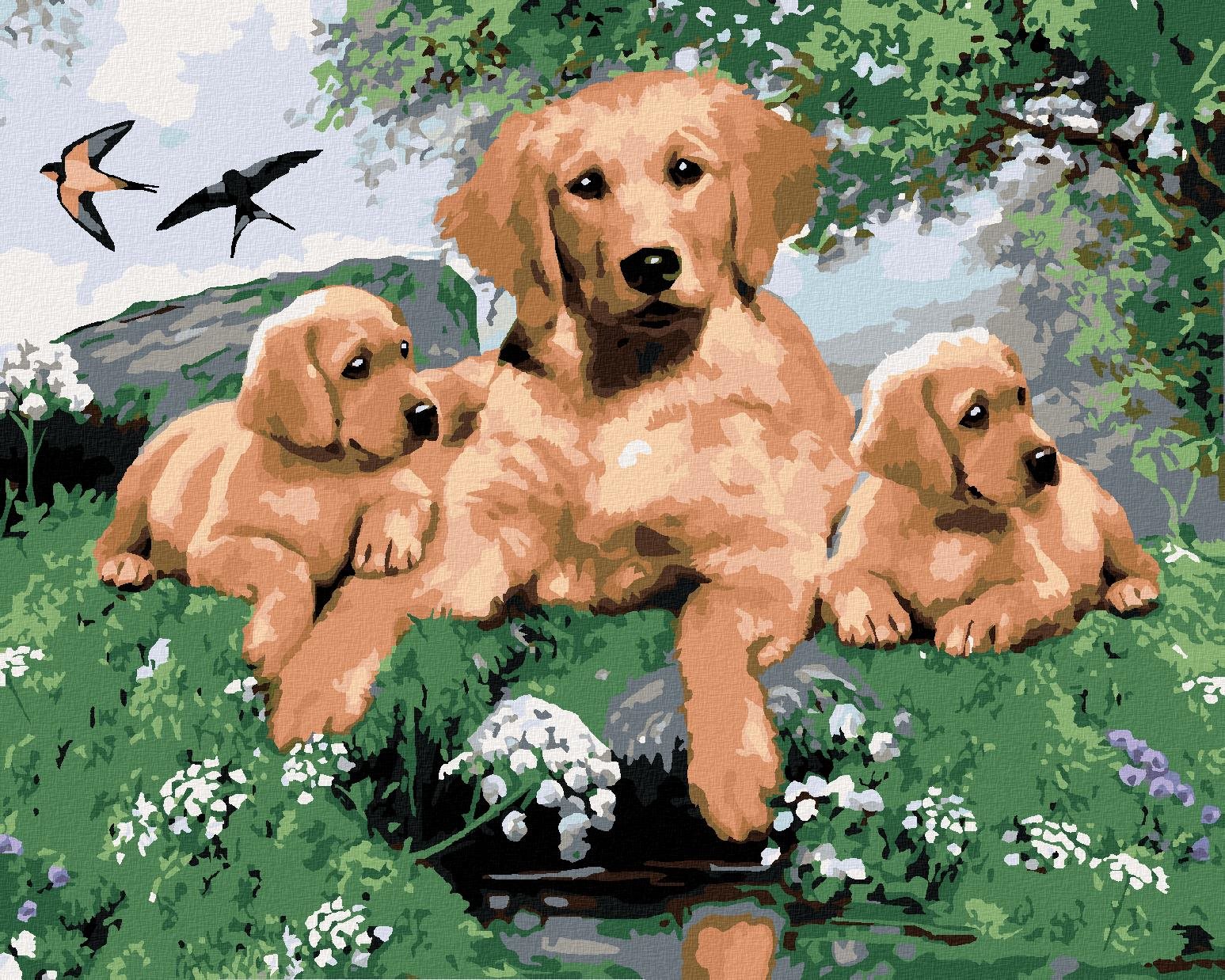 Maľovanie podľa čísel – Zlatý retriever a šteňatá (Howard Robinson), 40 × 50 cm, napnuté plátno na rám