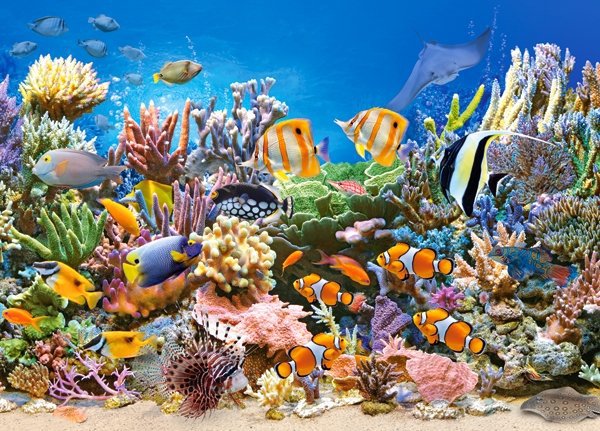Castorland Barvy oceánu 260 dílků