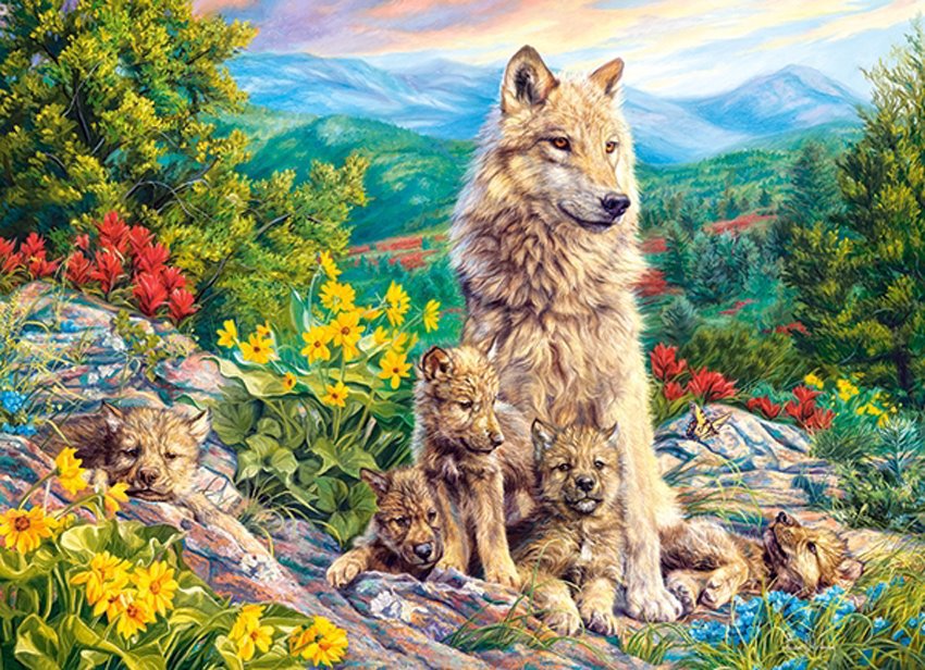 Castorland Nová generácia 200 dielikov