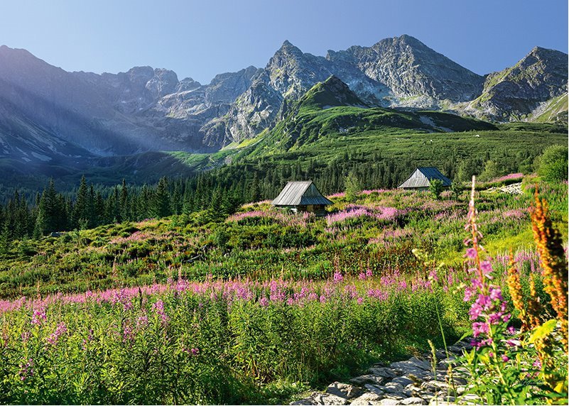 CHERRY PAZZI Gąsienicowa dolina, Vysoké Tatry 1000 dielikov