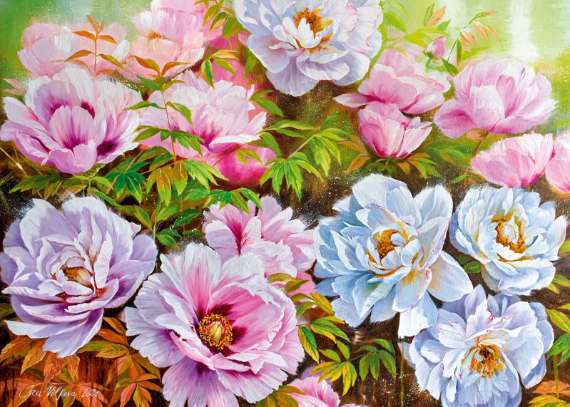 CHERRY PAZZI Poenyssimo Opus 1000 dielikov