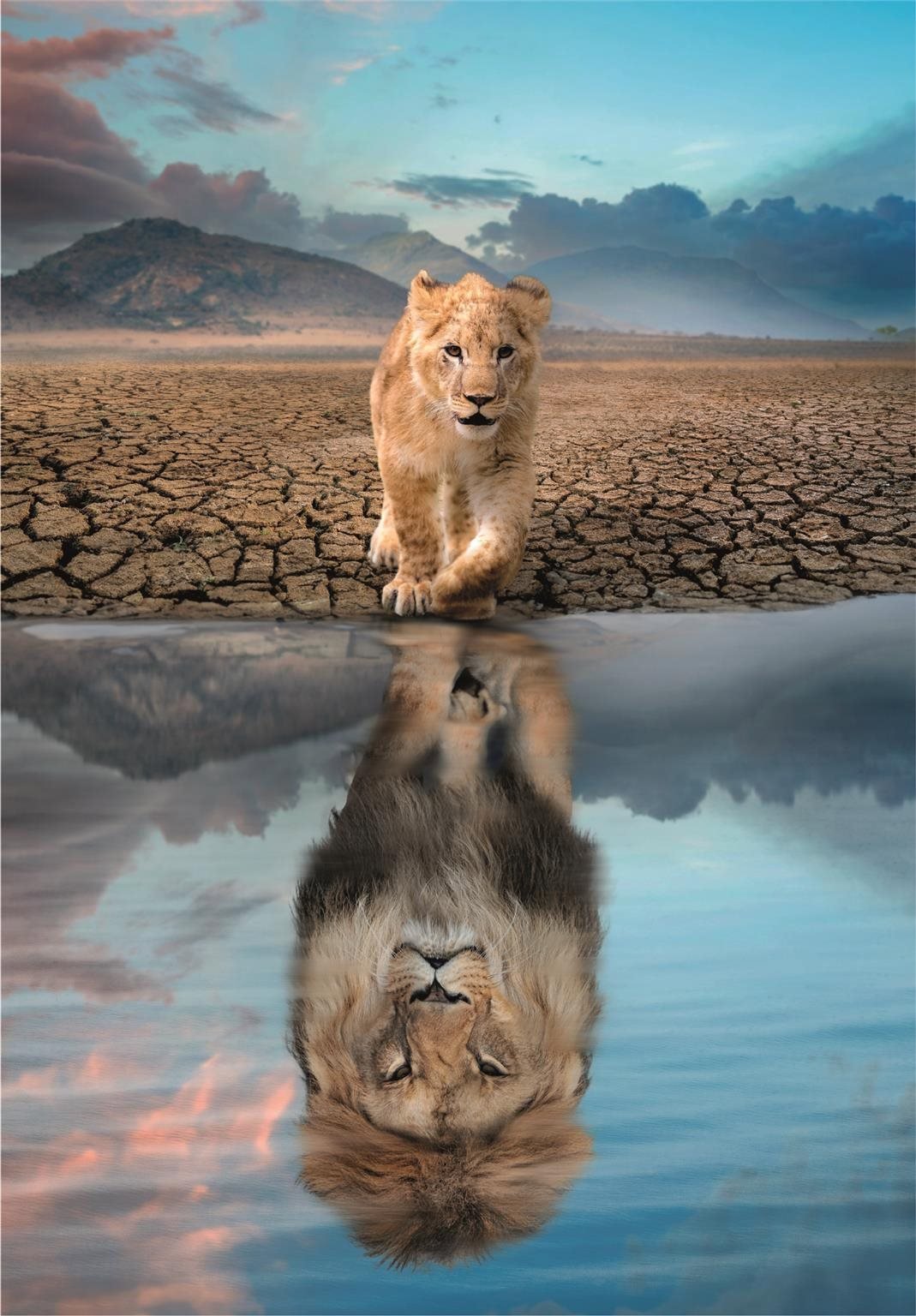 Clementoni Odraz 300 dílků