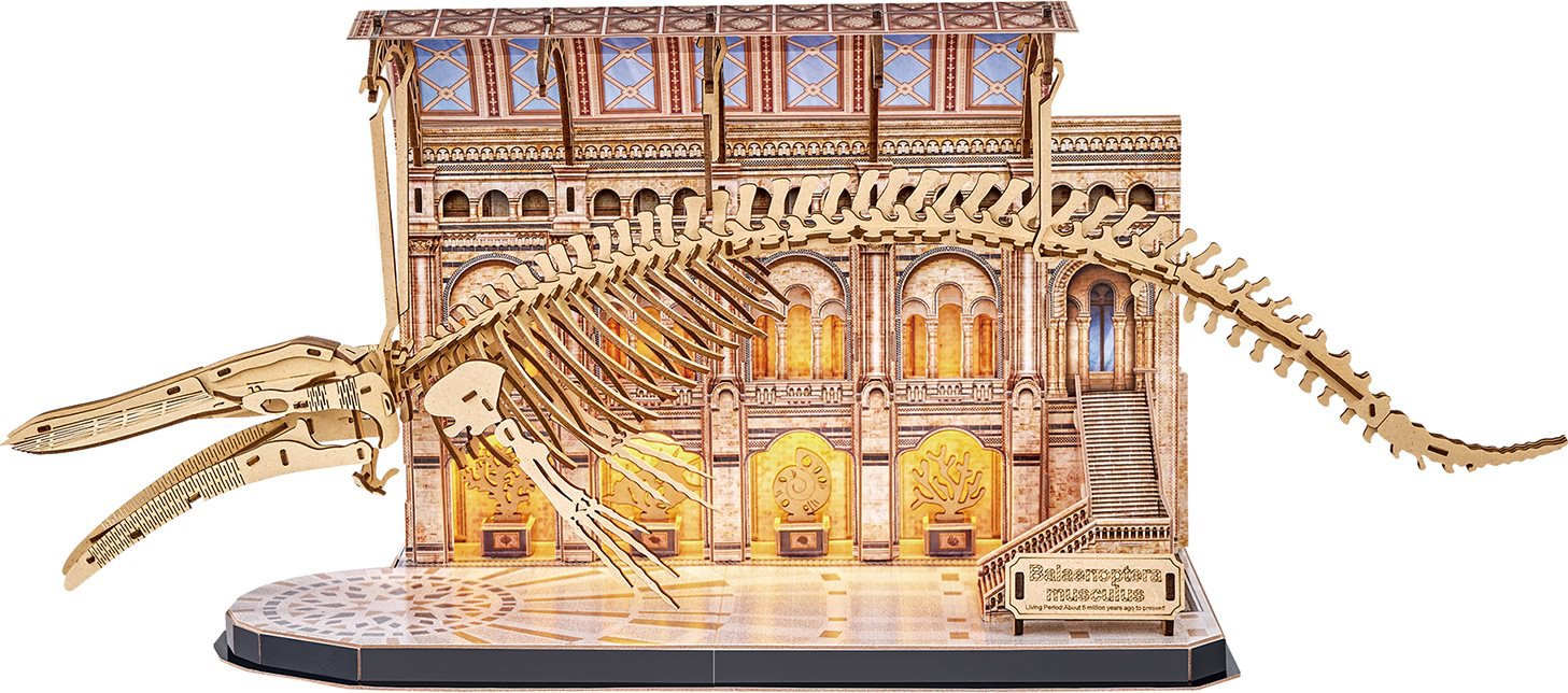 CubicFun Natural Museum LED: Plejtvák obrovský 222 dílků