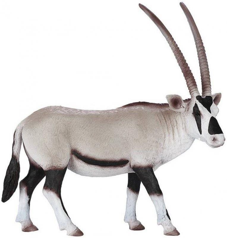 Mojo – Priamorožec Oryx arabský