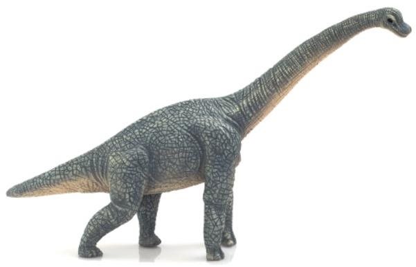 Mojo – Brachiosaurus