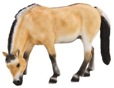 Mojo – Fjordský kôň