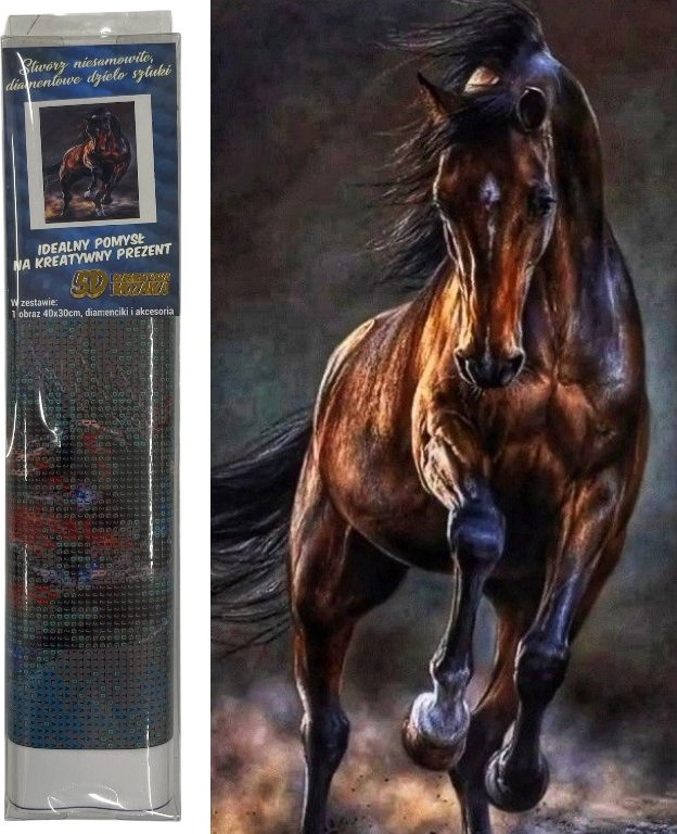Norimpex Divoký kůň 40 × 30 cm