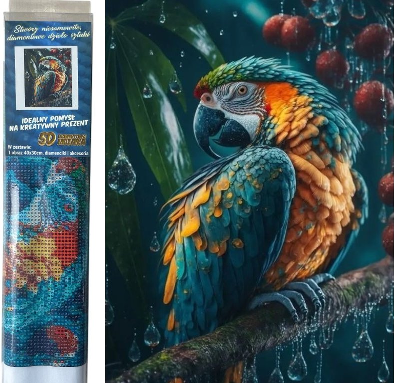 Norimpex Papoušek v dešti 40 × 30 cm