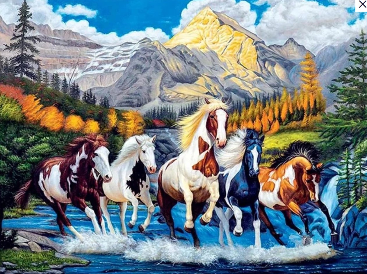 Norimpex Strakatý kôň 30 × 40 cm